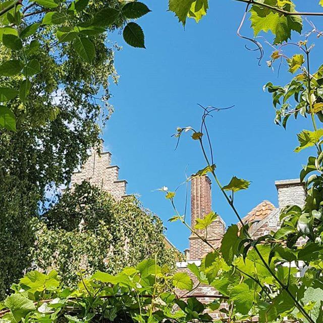 Veers Vertier Veere Exteriör bild